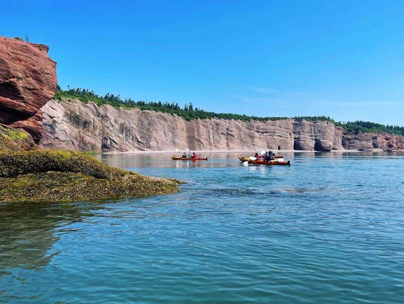 Saint John: Guided Kayaking Tour of St. Martins Sea Caves - Wildlife and the Fundy Biosphere
