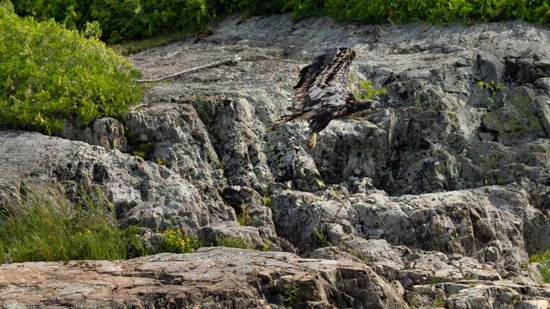 Saint John River: River Relics Kayak Tour - Is $83 a fair price?