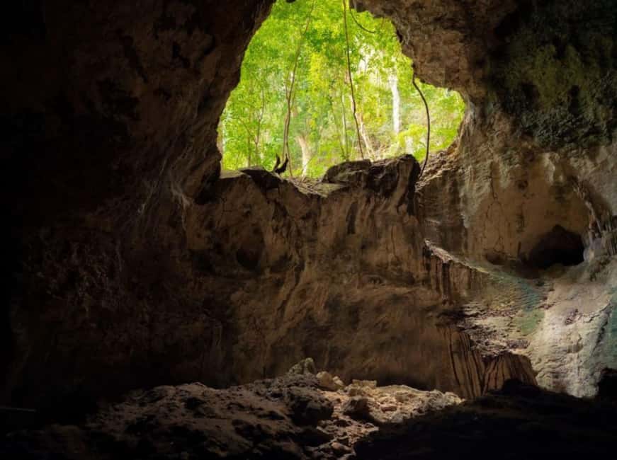 Samana: Los Haitises Kayaks & Caño Hondo Pools Tour w/ Lunch - Who should book this day trip