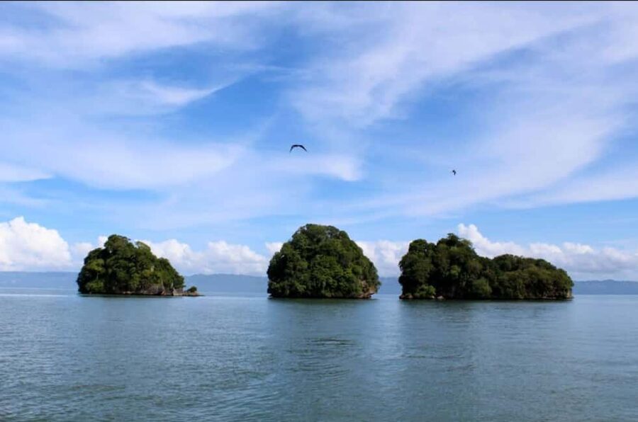 Samana: Los Haitises Kayaks & Caño Hondo Pools Tour w/ Lunch - Guides, languages, and group comfort