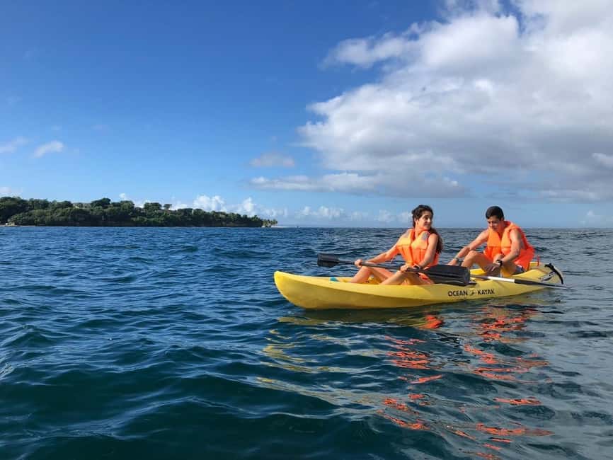 Samaná: Whale, Cayo Levantado, & Kayak in Samaná Bay Tour - Practical preparation before you go