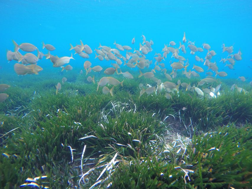 San José: Cabo de Gata Natural Park Kayak and Snorkel Tour - Who will enjoy this tour most