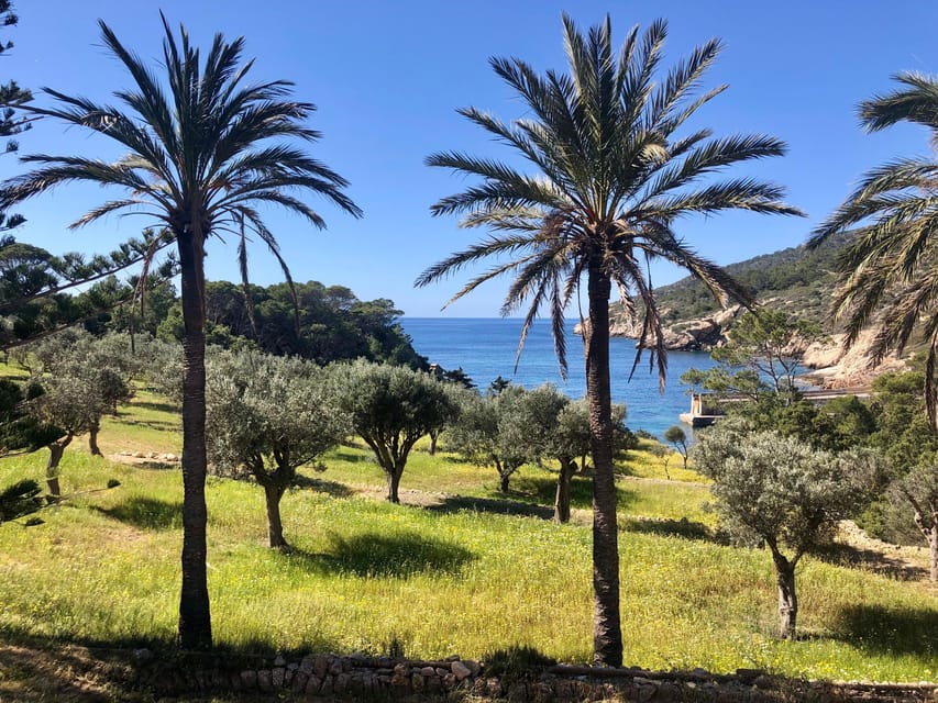 Sant Elm: Guided kayak tour to the Island Dragonera & Hiking - FAQ