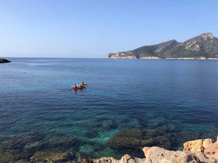 Sant Elm: Guided kayak tour to the Island Dragonera & Hiking - From Sant Elm to Dragonera by kayak