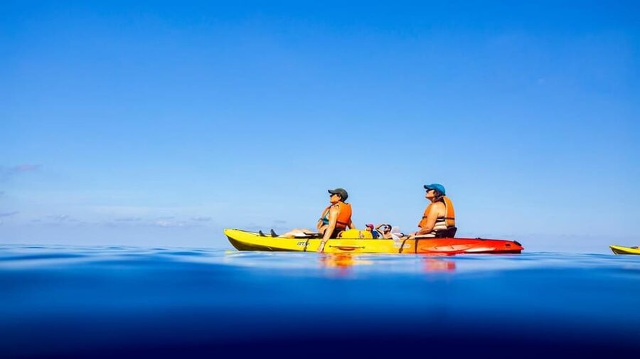 Sant Elm: Guided kayak tour to the Island Dragonera & Hiking - Who will enjoy this Dragonera outing