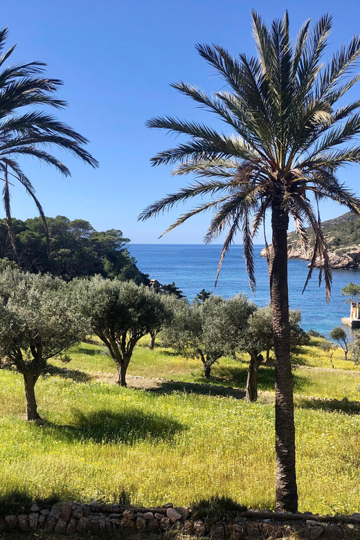 Sant Elm: Guided kayak tour to the Island Dragonera & Hiking - Arriving at Sa Dragonera Natural Park