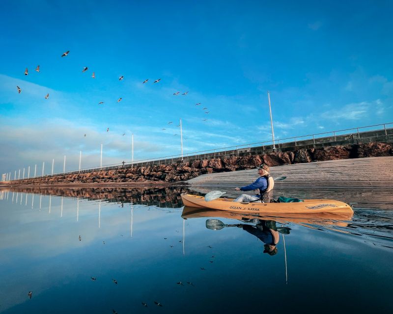 Santa Barbara Harbor: Sunset Kayak Tour (2 Hours) - Past Stearns Wharf Toward the Shoreline