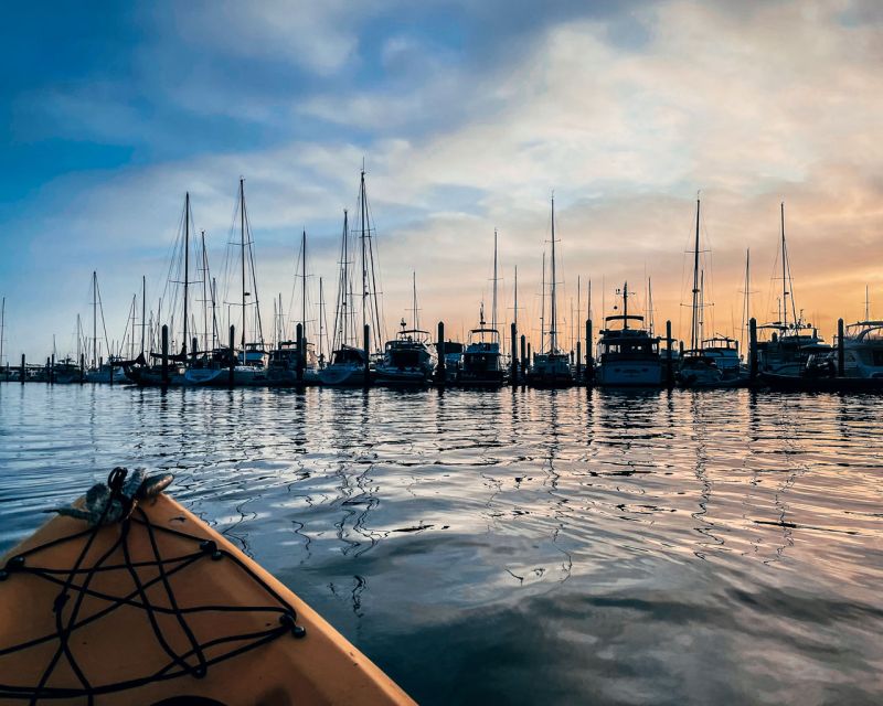 Santa Barbara Harbor: Sunset Kayak Tour (2 Hours) - Wildlife and the Quiet Moments