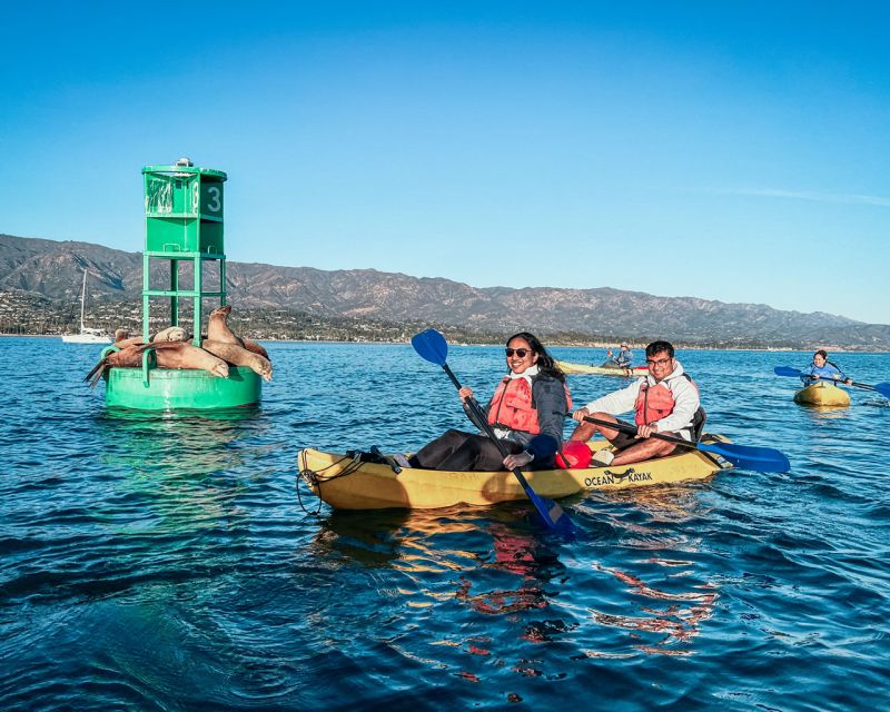 Santa Barbara Harbor: Wildlife Kayak Tour (2 Hours) - Key points before you book