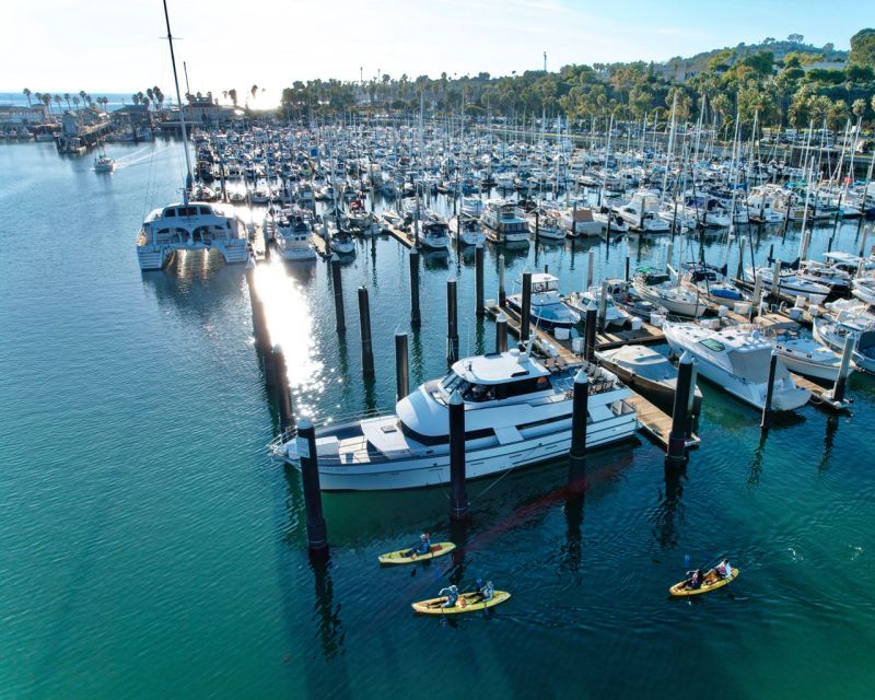Santa Barbara Harbor: Wildlife Kayak Tour (2 Hours) - Starting at Sea Landing in Santa Barbara Harbor