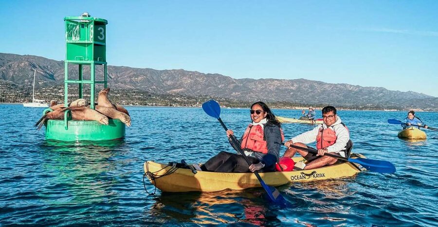 Santa Barbara Harbor: Wildlife Kayak Tour (2 Hours) - Out toward the buoys and along the beach