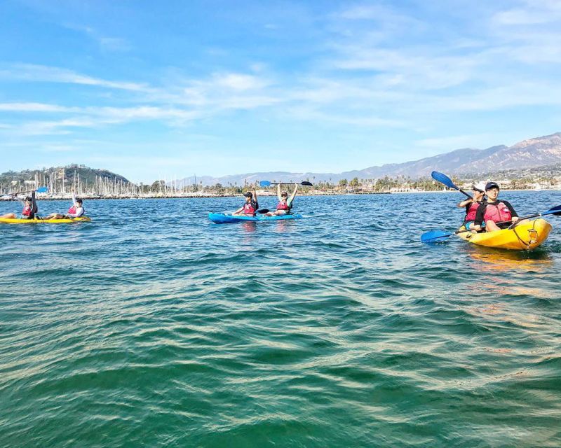 Santa Barbara Harbor: Wildlife Kayak Tour (2 Hours) - What the guides add to the experience