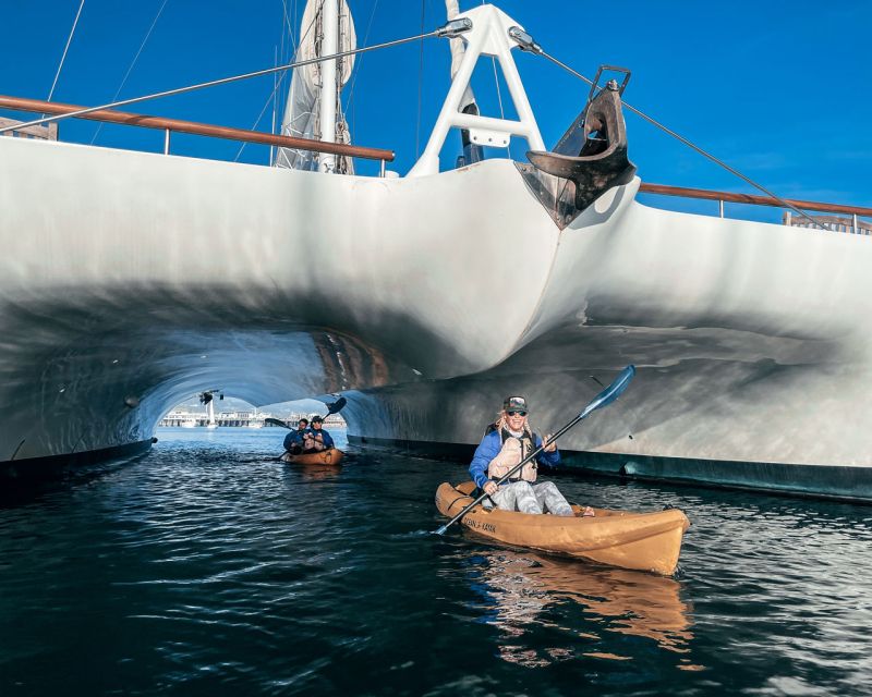 Santa Barbara Harbor: Wildlife Kayak Tour (2 Hours) - Who should book this kayak tour