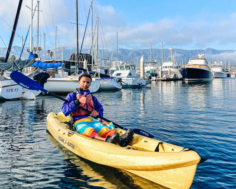 Santa Barbara Harbor: Wildlife Kayak Tour (2 Hours) - Paddling through the harbor and beneath the wharf