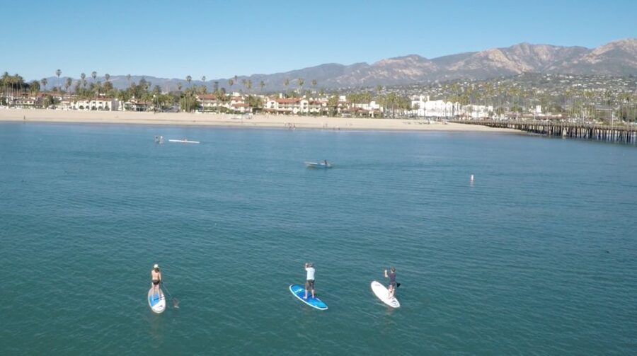 Santa Barbara: Stand-up Paddle Board Rental - Watching for seals, sea lions, and dolphins