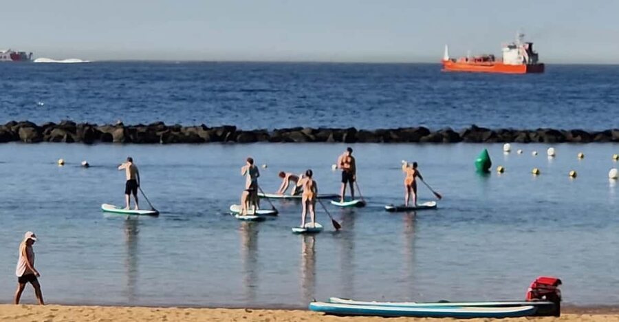 Santa Cruz de Tenerife: Las Teresitas Stand Up Paddle Course - Key points to know before you book