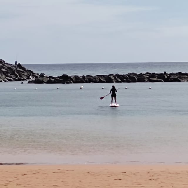 Santa Cruz de Tenerife: Las Teresitas Stand Up Paddle Course - Who will enjoy this most?