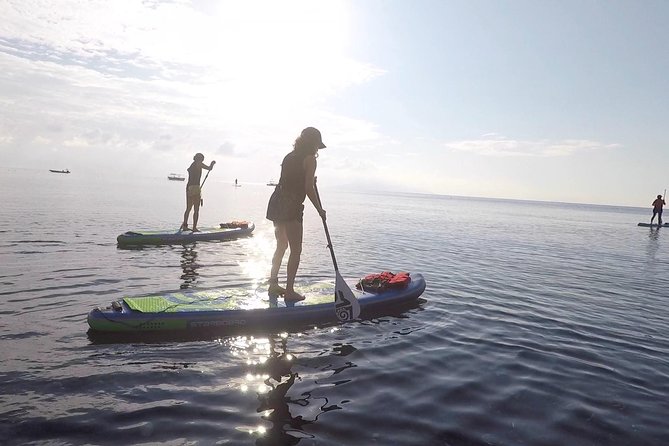 Santorini: Stand-Up Paddle and Snorkel Adventure - Learning SUP Along Santorini’s Cliffs