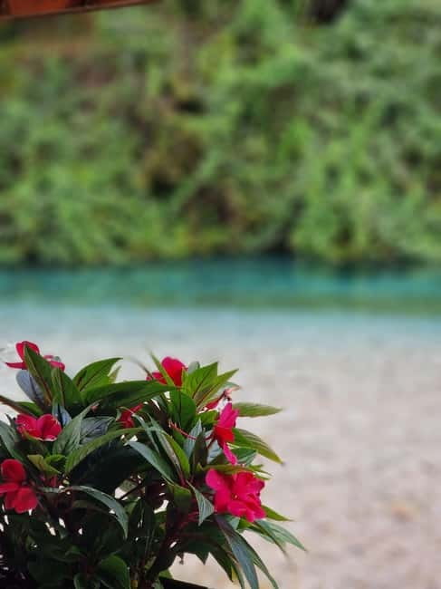 Sarande: Blue Eye Kayak and walking tour & Lekursi Castle - Who will enjoy this tour most