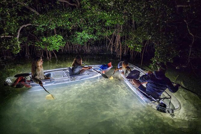 Sarasota - Clear Kayak LED Night Glass Bottom Tour - Key points to know before paddling out