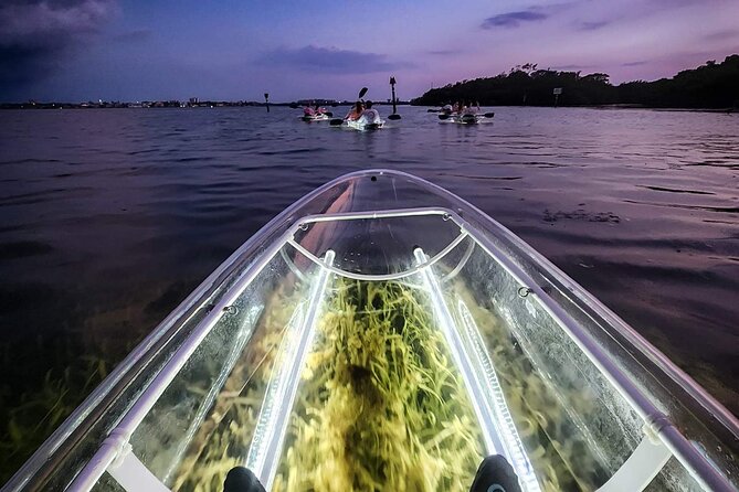 Sarasota - Clear Kayak LED Night Glass Bottom Tour - What the Sarasota LED kayak tour is really like