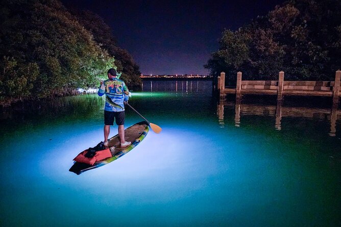 Sarasota - Clear Kayak LED Night Glass Bottom Tour - The LED view beneath Sarasota Bay