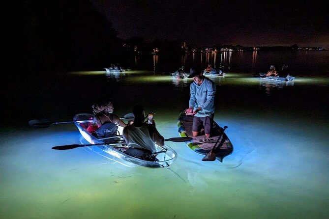 Sarasota - Clear Kayak LED Night Glass Bottom Tour - Nets, shells, and the small show at the end