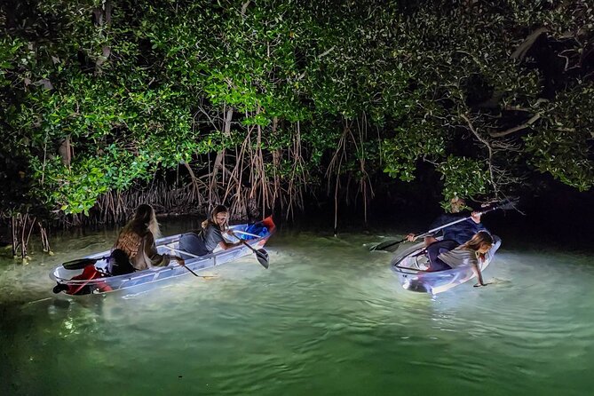 Sarasota - Clear Kayak LED Night Glass Bottom Tour - The people leading the paddle