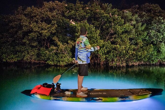 Sarasota - Clear Kayak LED Night Glass Bottom Tour - How wet and active should you expect to get?
