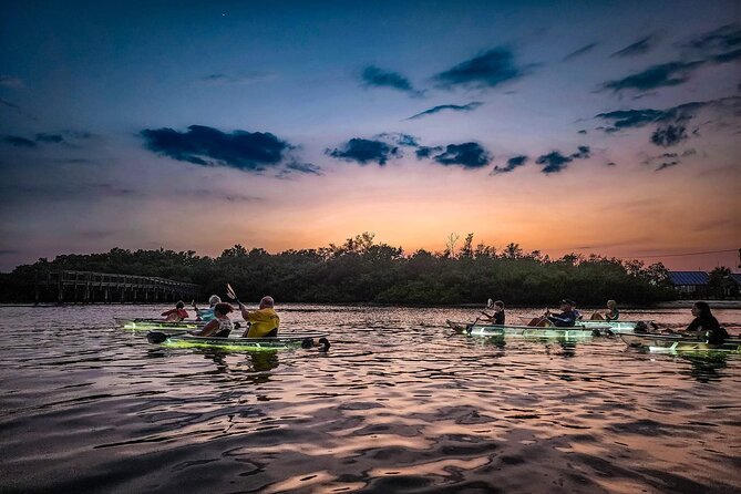Sarasota - Clear Kayak LED Night Glass Bottom Tour - Timing, weather, and practical planning