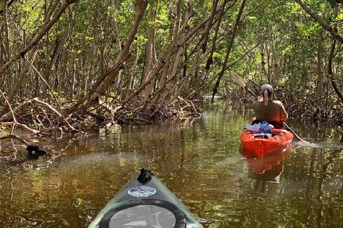 Sarasota Guided Mangrove Tunnel Kayak Tour - Guides Who Keep the Paddle Lively