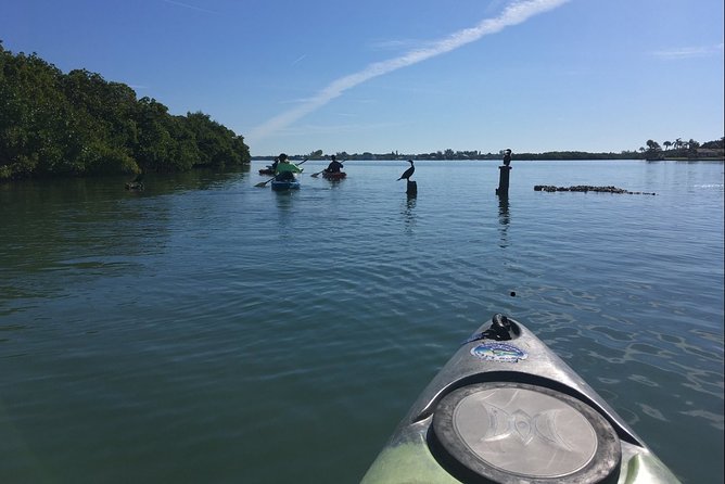 Sarasota Guided Mangrove Tunnel Kayak Tour - Entering the South Lido Mangrove Tunnels