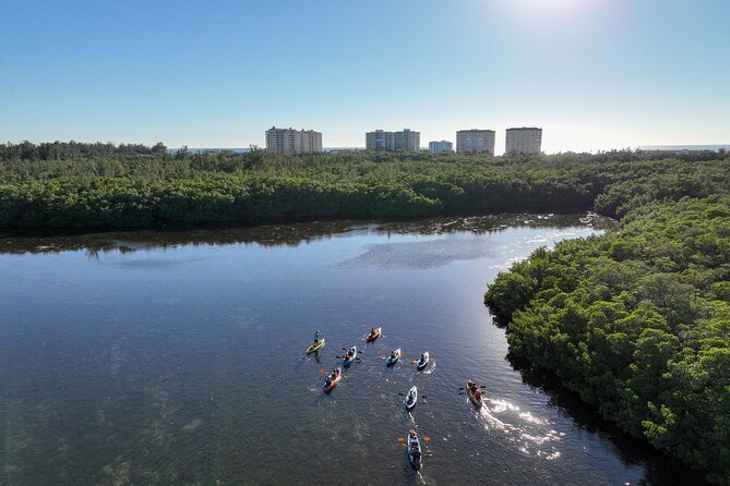 Sarasota Mangrove Tunnel Guided Kayak Adventure - What the Sarasota kayak trip is really like
