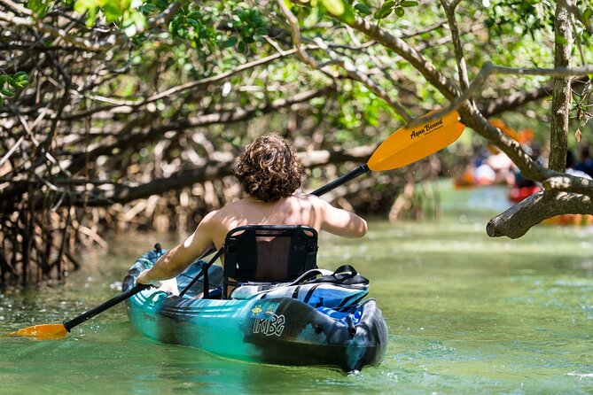 Sarasota Mangrove Tunnel Guided Kayak Adventure - Entering the Lido Key mangrove tunnels