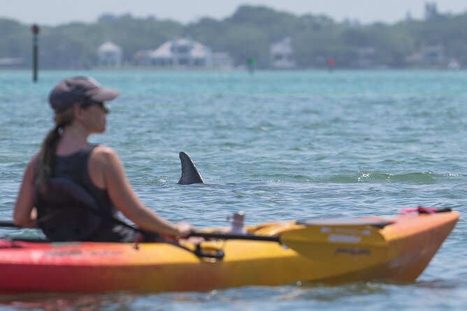 Sarasota Mangrove Tunnel Guided Kayak Adventure - Guides who mix local stories with dad jokes