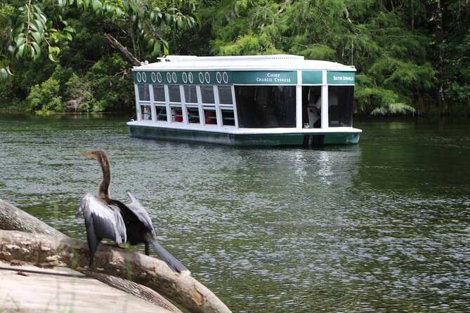 Sassy’s Silver Springs Kayak and Paddleboard Tours - Key points about paddling Silver Springs
