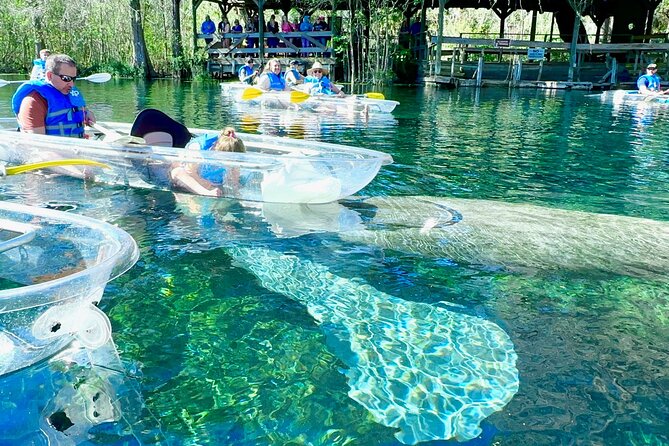 Sassy’s Silver Springs Kayak and Paddleboard Tours - What happens at 5656 East Silver Springs Boulevard