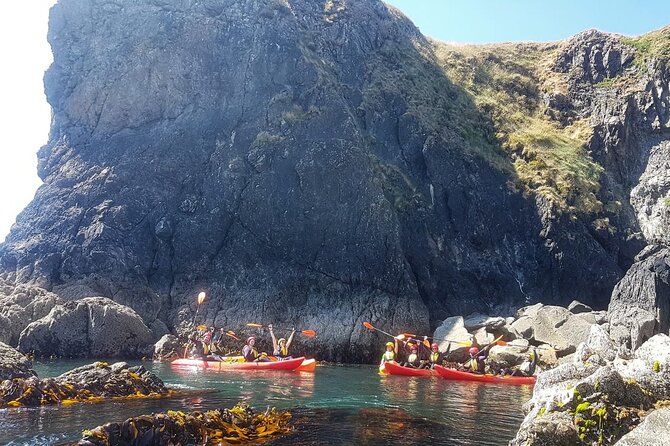 Sea Cave Kayaking Experience - Golden beaches, coves, and cliff openings
