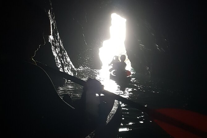 Sea Cave Kayaking Experience - Who will enjoy this most