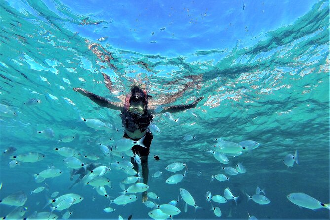 Sea Caves & Coves Snorkeling Paddle Boarding Tour - Drinks, fruit, music, and the onboard mood