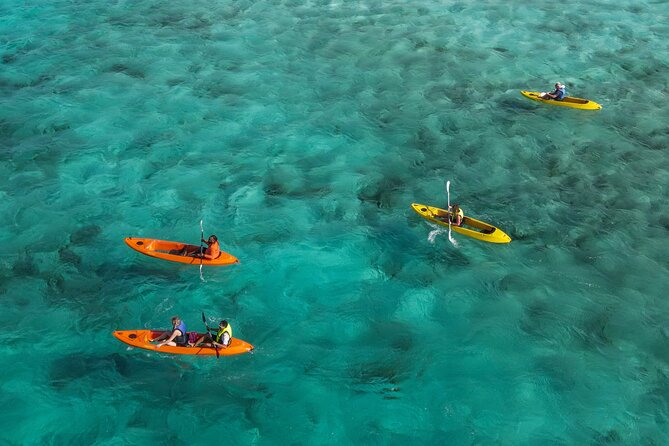 Sea Glass Island and Clear Kayak Adventure - Key points before you book