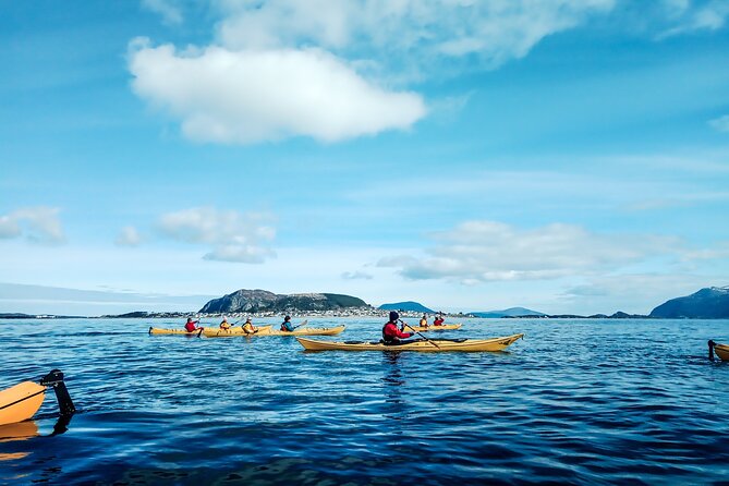Sea Kayaking In Ålesund - Key points to know before you book