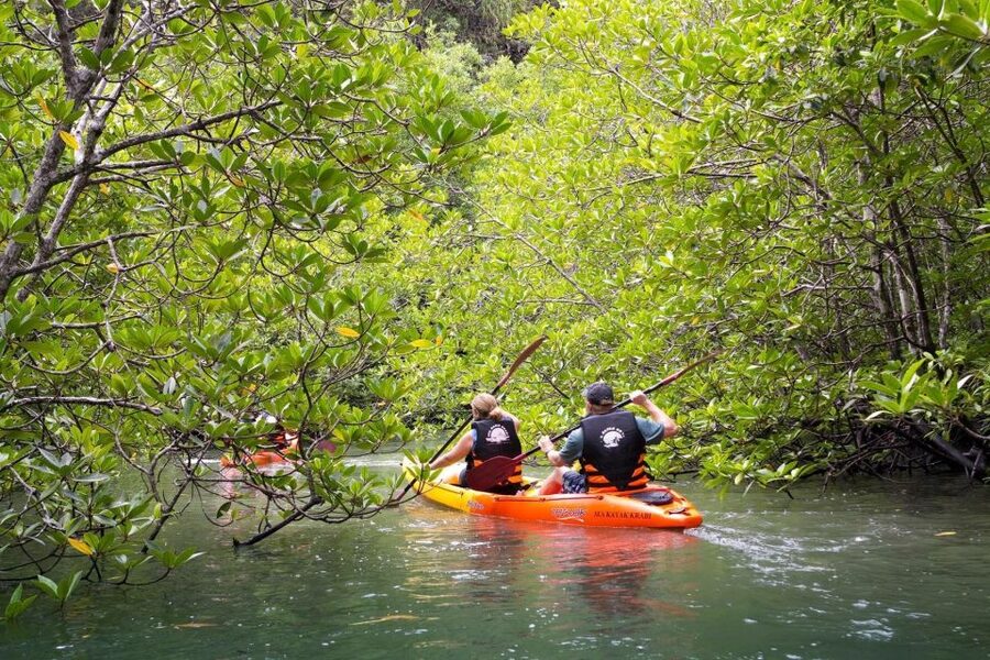 Sea Kayaking in Ao Thalane & Optional Full-Day Hong Island - Key points to know before you book
