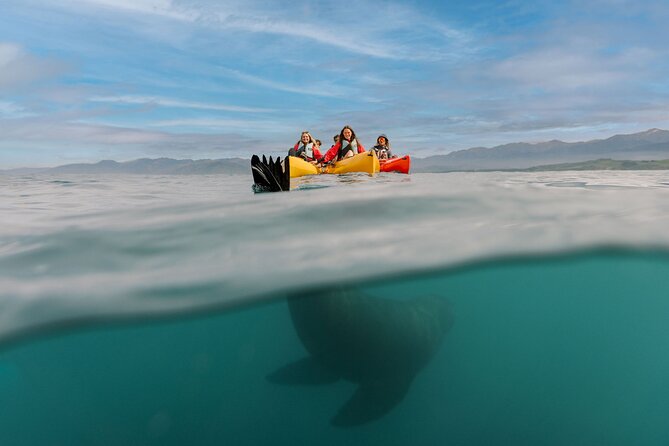 Seal Kayaking Adventure in Kaikoura - Dolphins, seabirds, and the occasional penguin