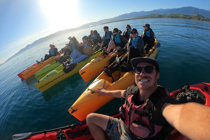 Seal Kayaking Adventure in Kaikoura - What three hours feels like