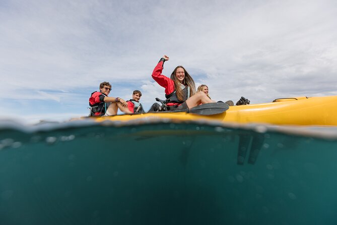 Seal Kayaking Adventure in Kaikoura - Is the $83.78 price good value?