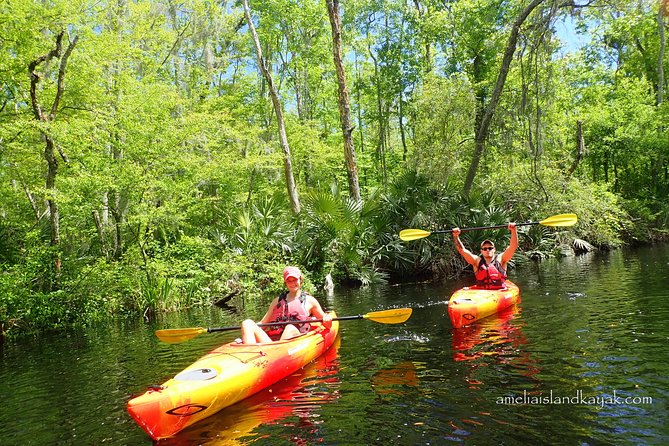 Self Guided Family Friendly Kayak Rental Experience Old Florida - Key points to know before you book