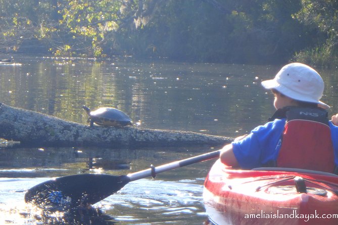 Self Guided Family Friendly Kayak Rental Experience Old Florida - A quiet creek instead of a crowded Florida attraction