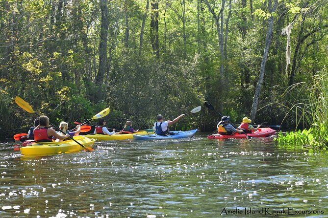 Self Guided Family Friendly Kayak Rental Experience Old Florida - The staff support that matters most for beginners