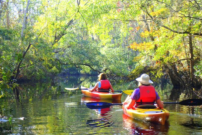 Self Guided Family Friendly Kayak Rental Experience Old Florida - Is $48.15 a fair price?